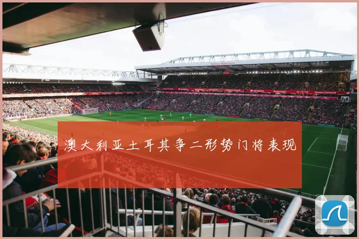 澳大利亚土耳其争二形势门将表现