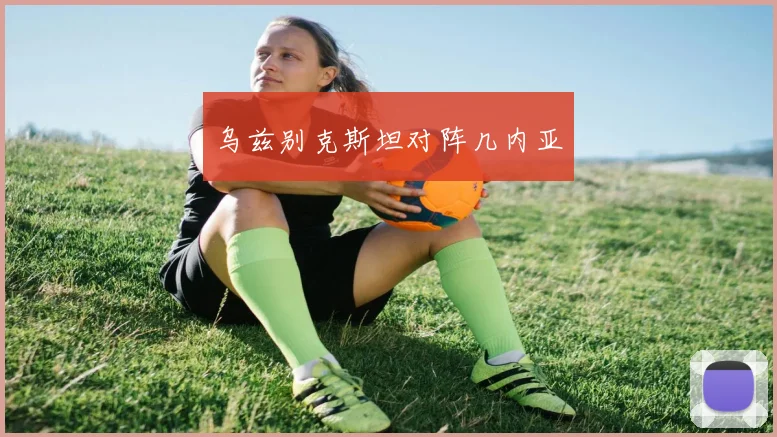 乌兹别克斯坦对阵几内亚