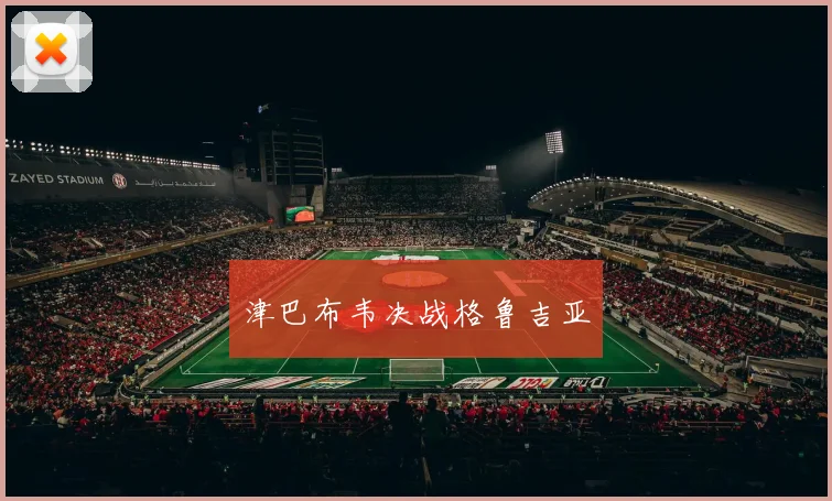 津巴布韦决战格鲁吉亚