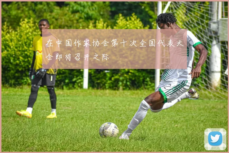 在中国作家协会第十次全国代表大会即将召开之际