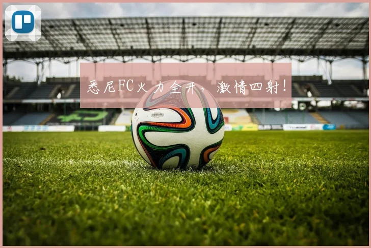 悉尼FC火力全开，激情四射！