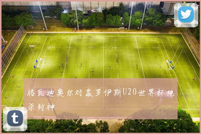 格瓦迪奥尔对轰罗伊斯U20世界杯绝杀封神
