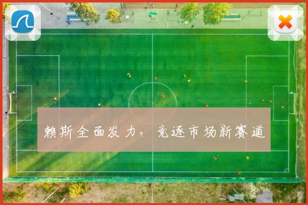 赖斯全面发力，竞逐市场新赛道
