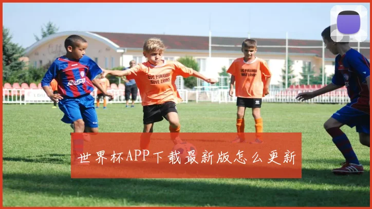 世界杯APP下载最新版怎么更新
