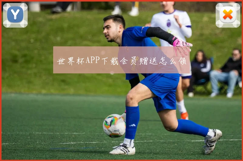 世界杯APP下载会员赠送怎么领