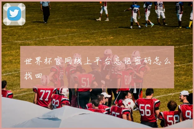 世界杯官网线上平台忘记密码怎么找回