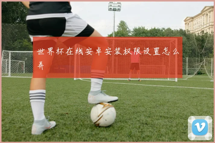 世界杯在线安卓安装权限设置怎么弄
